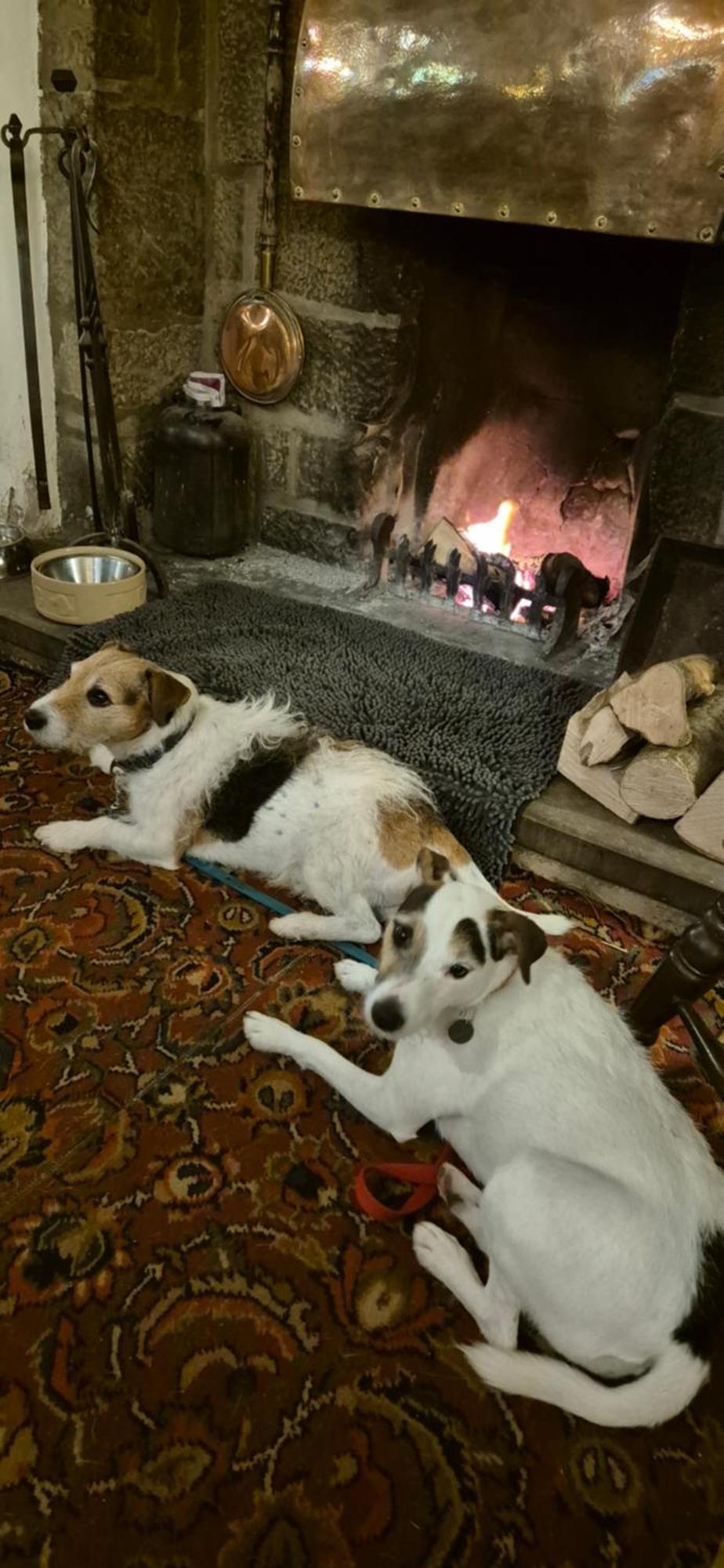 The Talbot Hotel Ledbury Extérieur photo